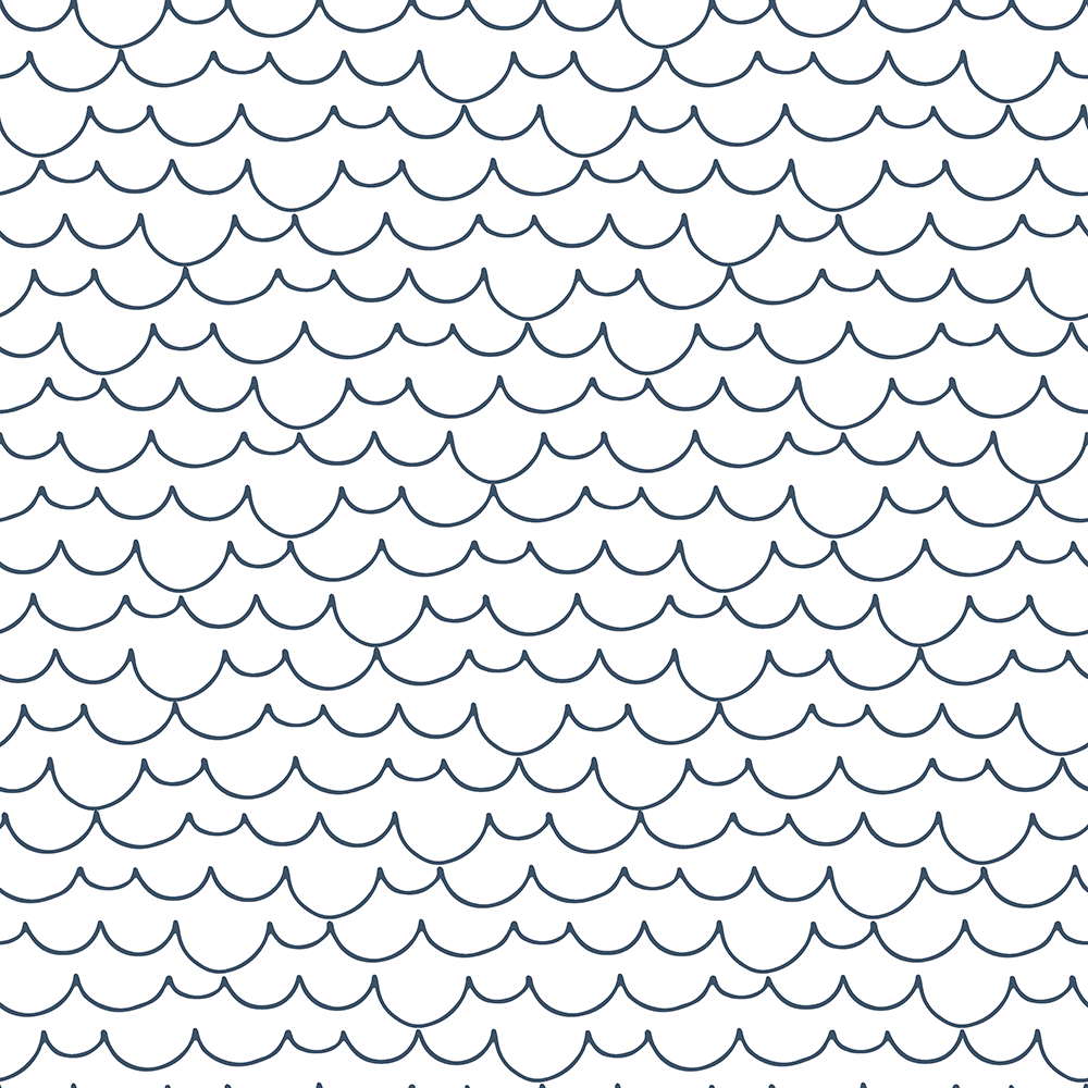Scallops – Ink