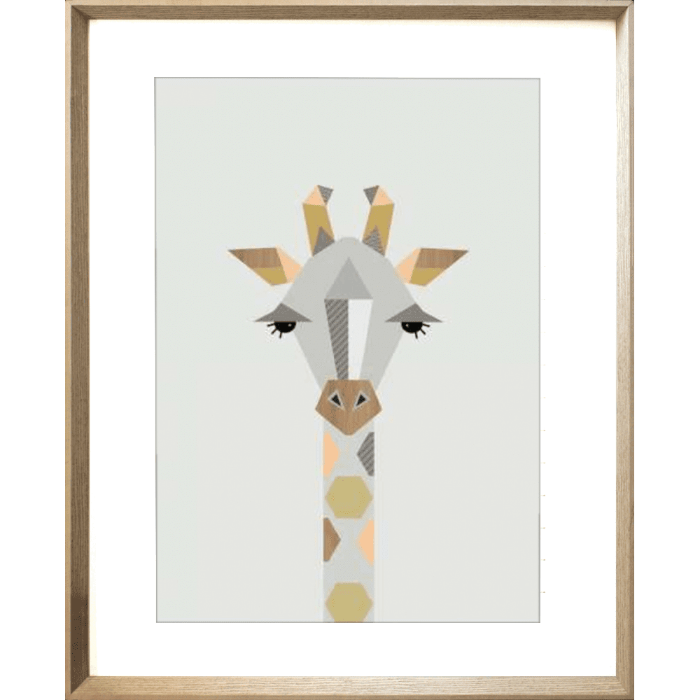 Zoo Crew 01 – Studio Collection