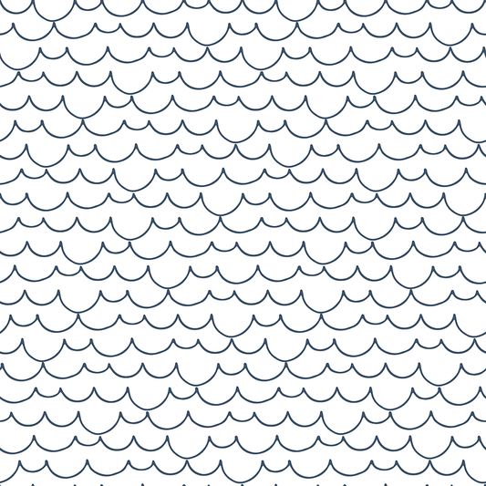 Scallops – Ink